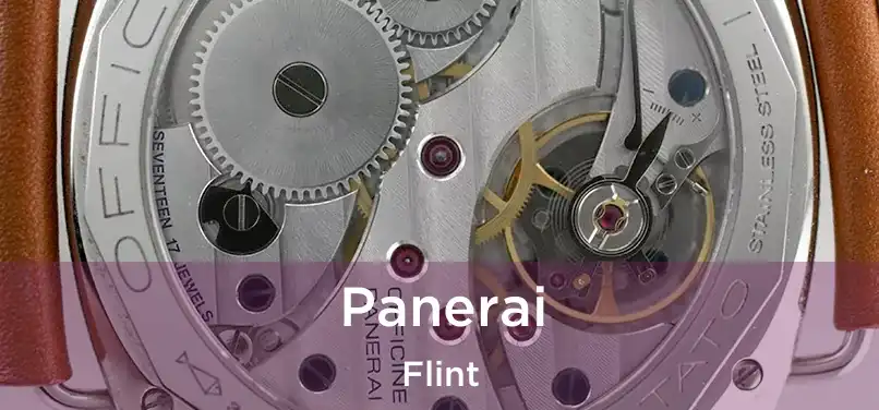 Panerai Flint