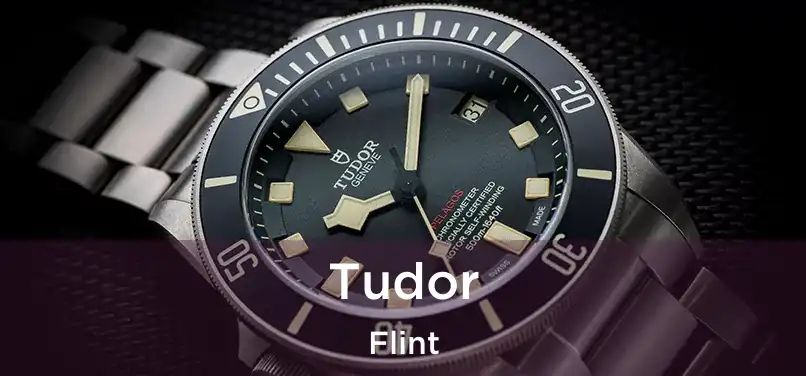 Tudor Flint